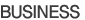 Business Description